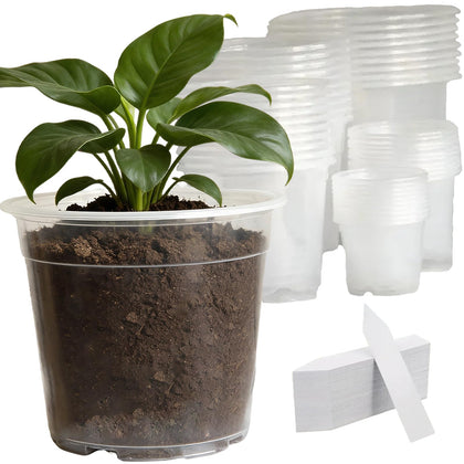 Tuphuvy clear 3-inch nursery pot with drainage holes for healthy root growth