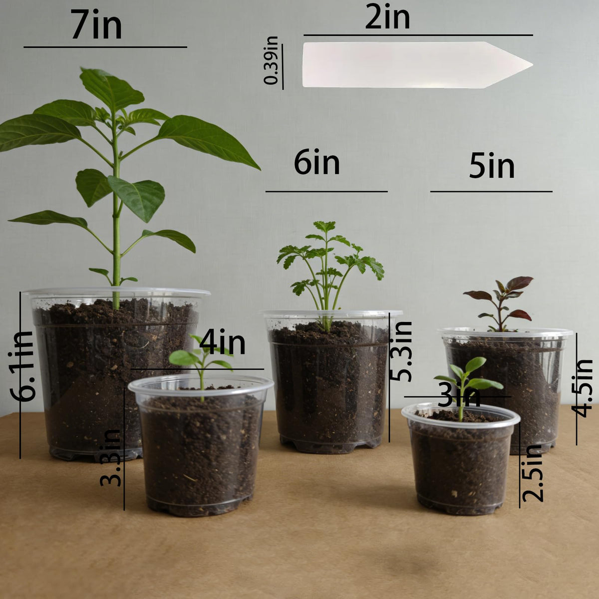 Tuphuvy clear 4-inch nursery pot ideal for rapid seedling start and airflow