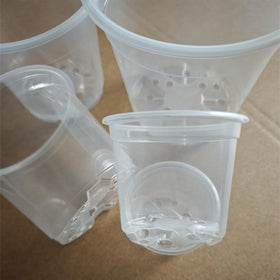 Tuphuvy clear 5-inch nursery pot shows roots clearly for monitoring