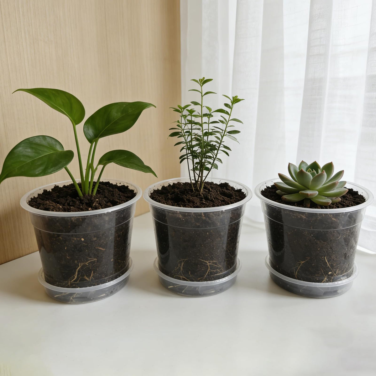 Tuphuvy clear nursery pot 7-inch ideal for mature seedlings and space for roots