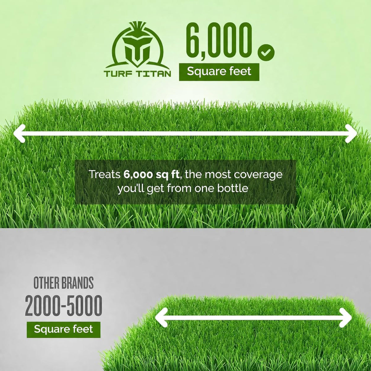 Sunlit turf with rich color after Lawn Advancer application