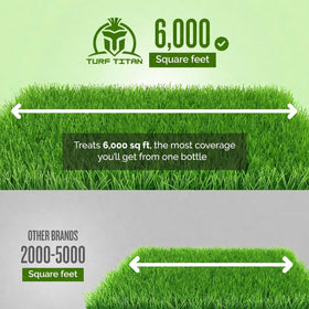 Sunlit turf with rich color after Lawn Advancer application