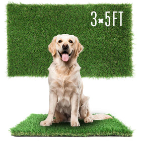 TURF XPRESS dense-grass close-up showing pet-friendly, durable blades.