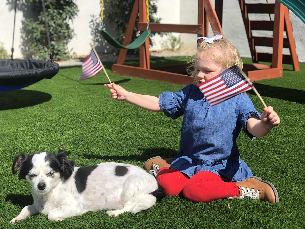 TUTARE 50 4x6 flag on a stick for indoor patriotism decor