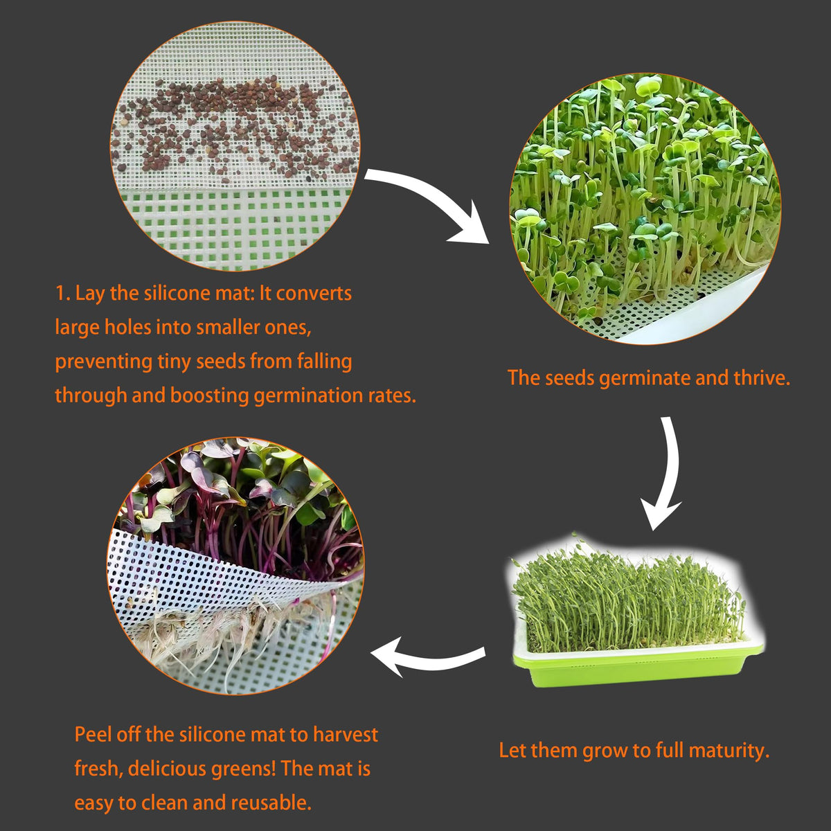 Tutuone mats in use with microgreens for even moisture and growth