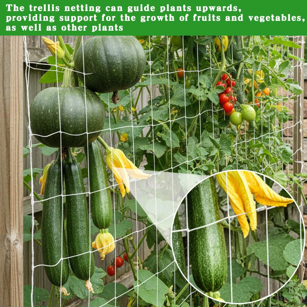 Tuzuxcux vegetable fruit climbing net elevates vine crops for better air flow.