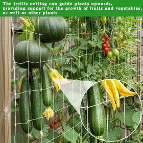 Tuzuxcux vegetable fruit climbing net elevates vine crops for better air flow.
