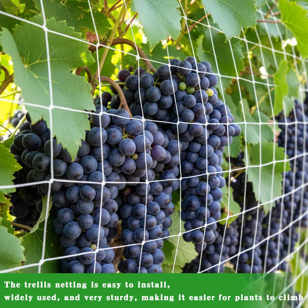 Tuzuxcux climbing plants support net demonstrates sturdy garden aid for heavy vines.