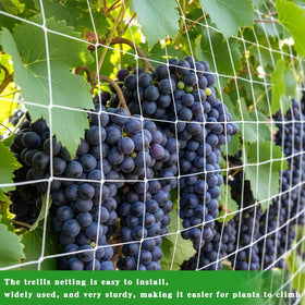 Tuzuxcux climbing plants support net demonstrates sturdy garden aid for heavy vines.
