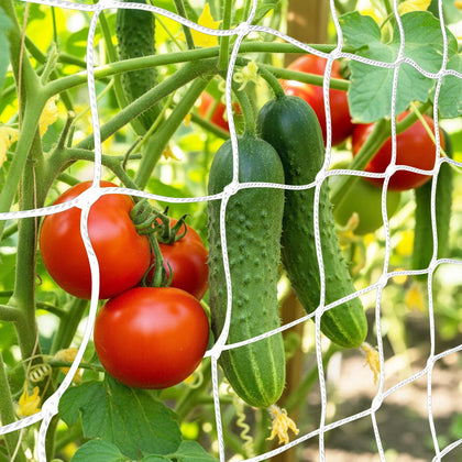 Tuzuxcux trellis netting in use supports climbing plants for vertical growth.