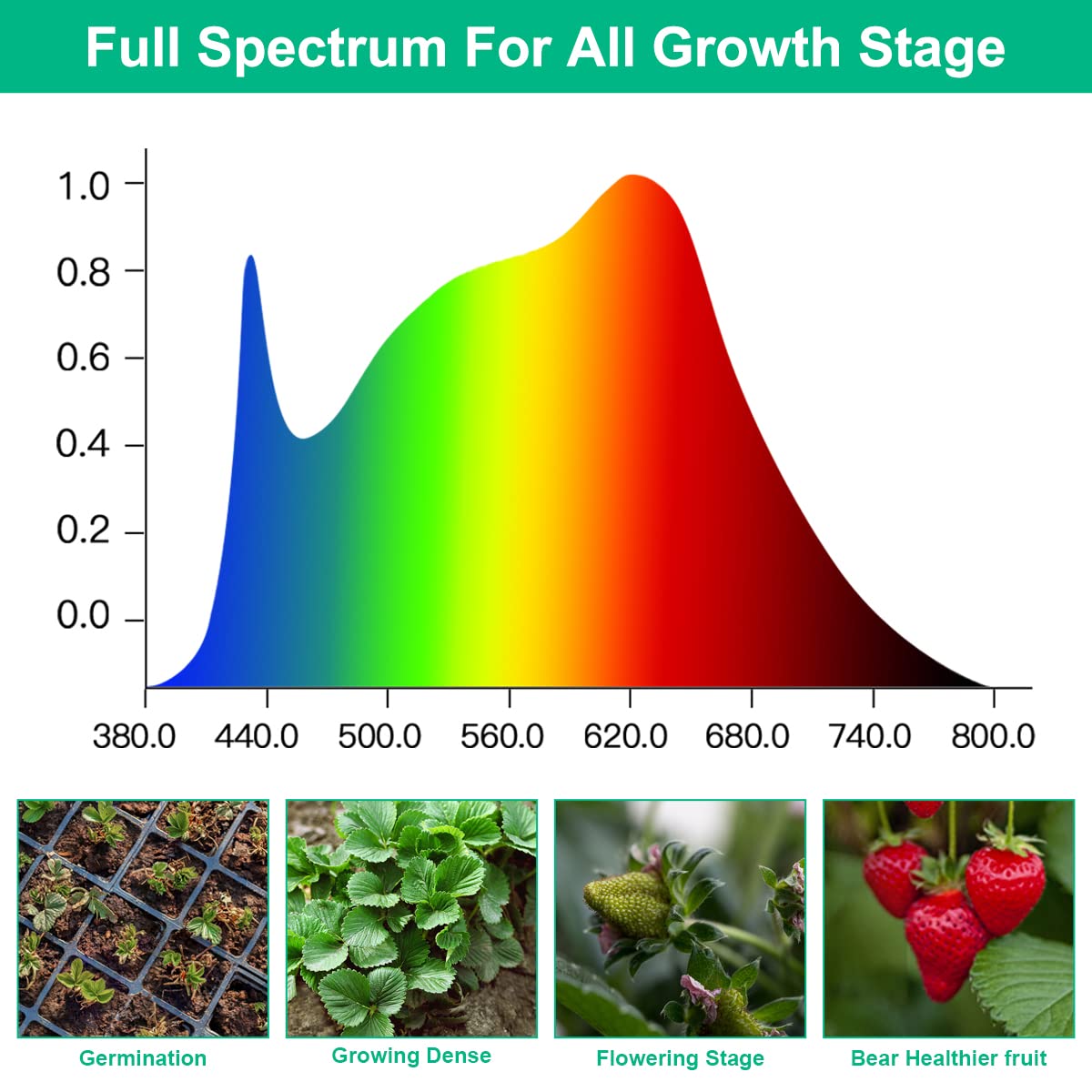 TVTUTPWY 5000K full-spectrum LED for thriving houseplants