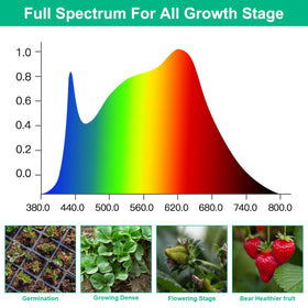 TVTUTPWY 5000K full-spectrum LED for thriving houseplants