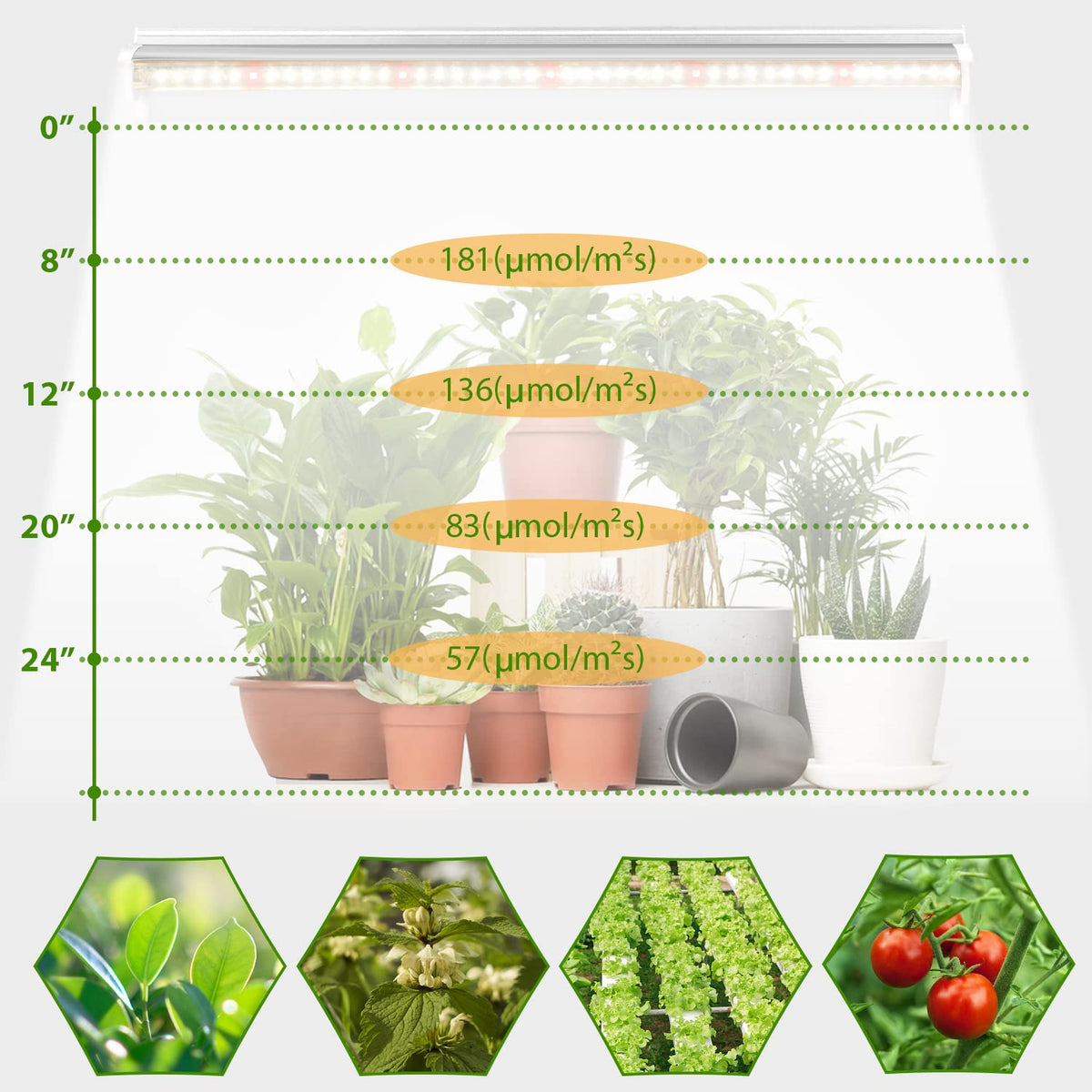 TVTUTPWY Grow Light T5 end-to-end connectors enable seamless layouts.