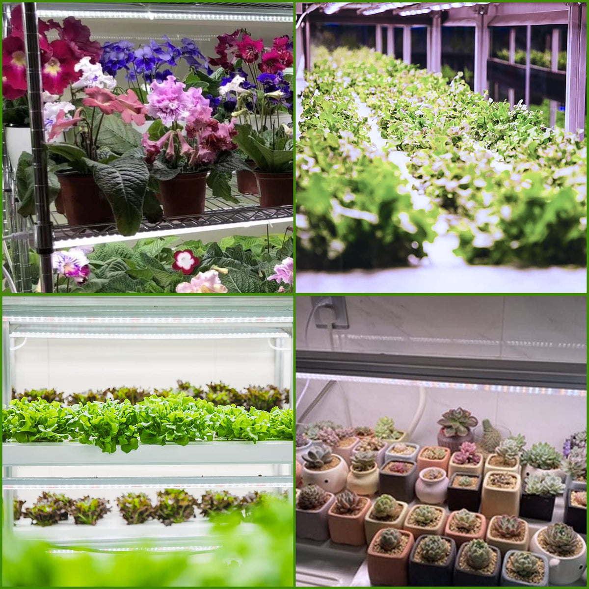 TVTUTPWY Grow Light T5 ideal for indoor plants, herbs, and blooms.