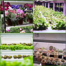 TVTUTPWY Grow Light T5 ideal for indoor plants, herbs, and blooms.
