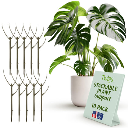 Twigs GA Moonstone stackable plant stake supporting upright indoor ivy