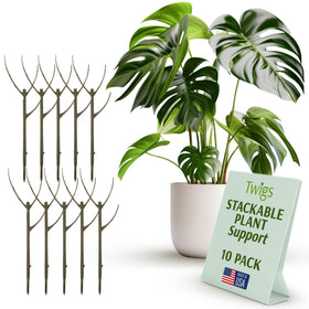 Twigs GA Moonstone stackable plant stake supporting upright indoor ivy