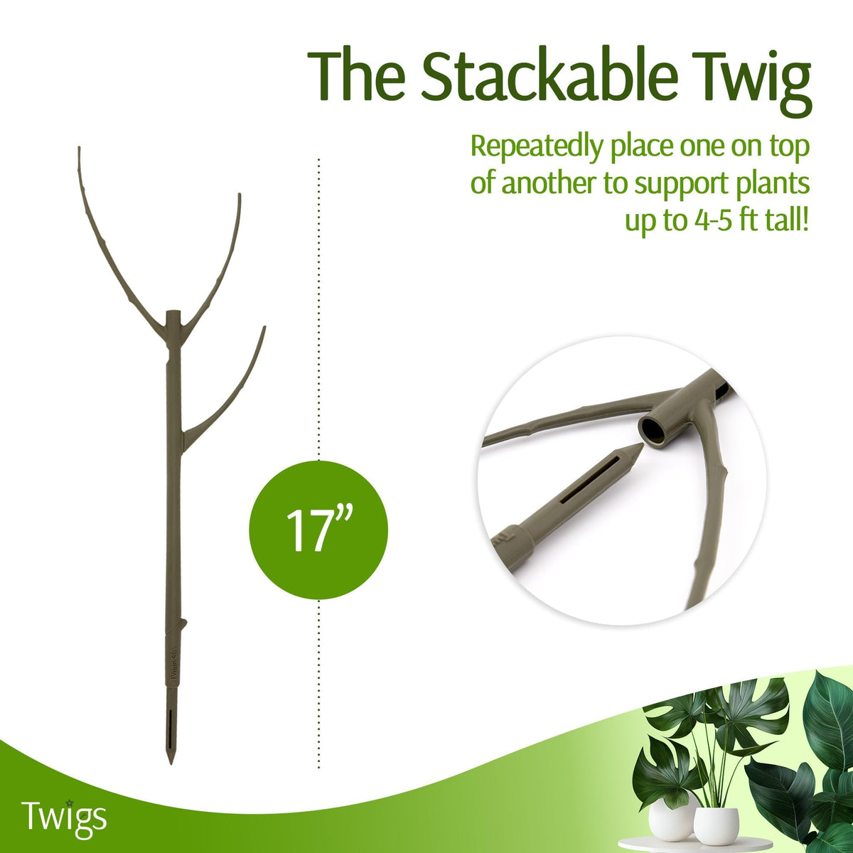 Twigs GA Moonstone stake stabilizing climbing vines with a clean aesthetic