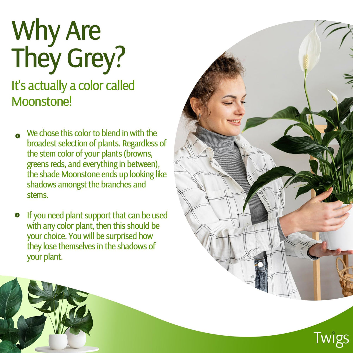 Twigs GA plant stake outdoors in Moonstone for vine guidance