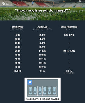 Twin City Seed Co. seeds measured in a cup for overseeding preparation.