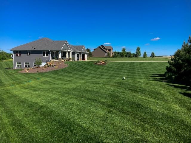 Twin City Seed Co. turf blend mix close-up reveals tall fescue and ryegrass content.