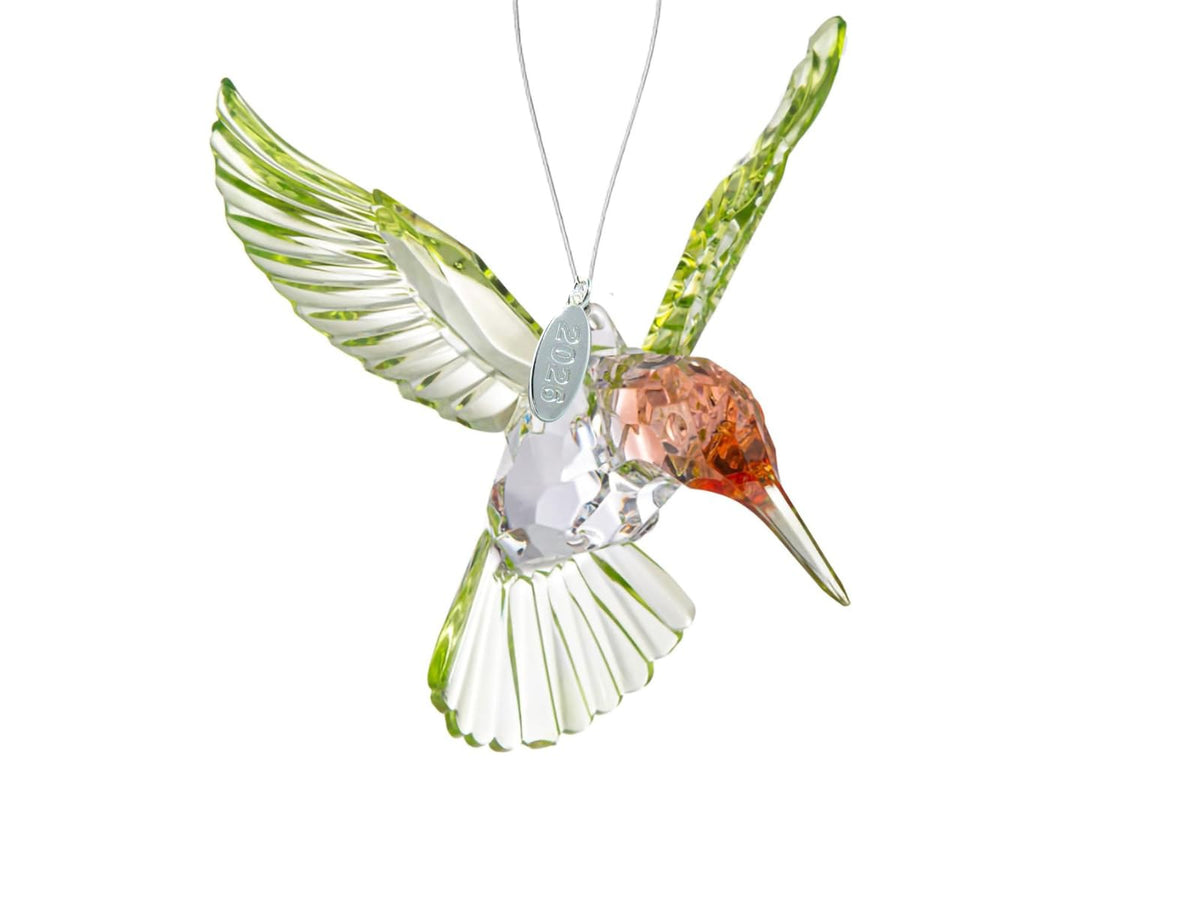 Twisted Anchor Crystal Suncatcher with prism casting colorful light through the window.