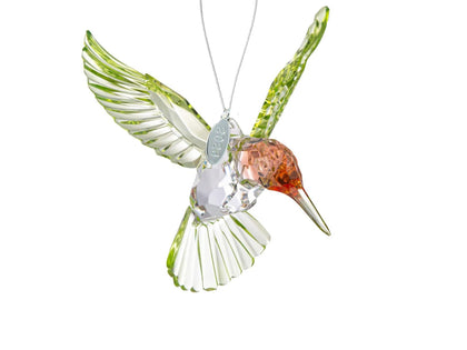 Twisted Anchor Crystal Suncatcher with prism casting colorful light through the window.