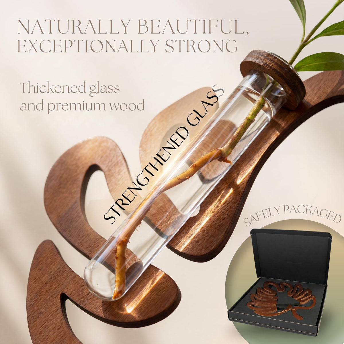 2Special clear propagation tubes capture root development under bright indoor light.