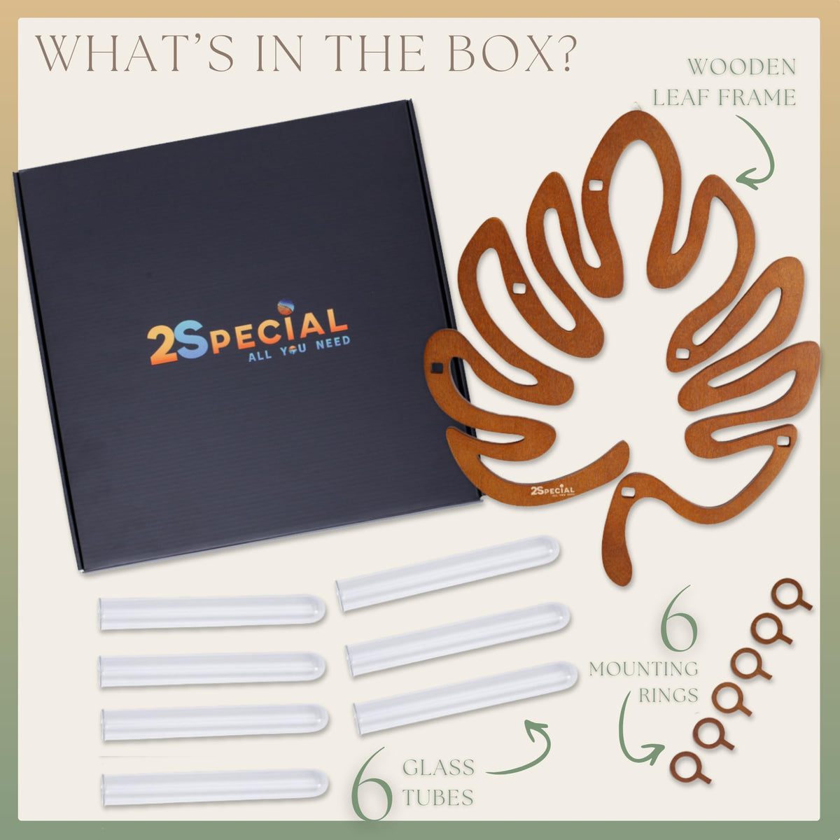 2Special gift-ready packaging enhances presentation for plant lovers.