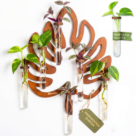 2Special leaf-shaped hanging planter displays roots clearly for easy monitoring.