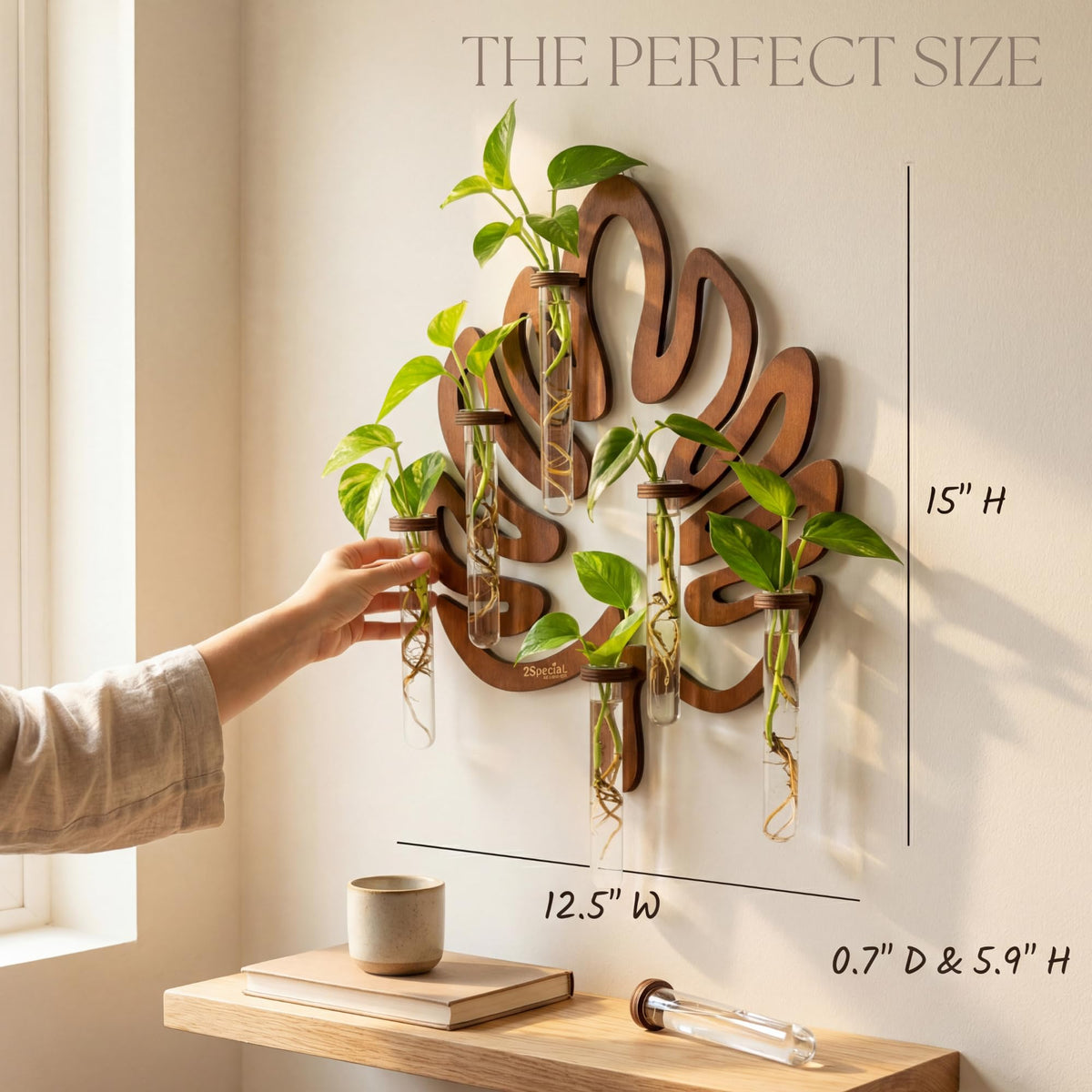 2Special spare vase included for seamless expansion of your propagation station.