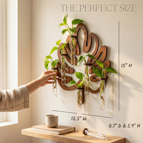 2Special spare vase included for seamless expansion of your propagation station.