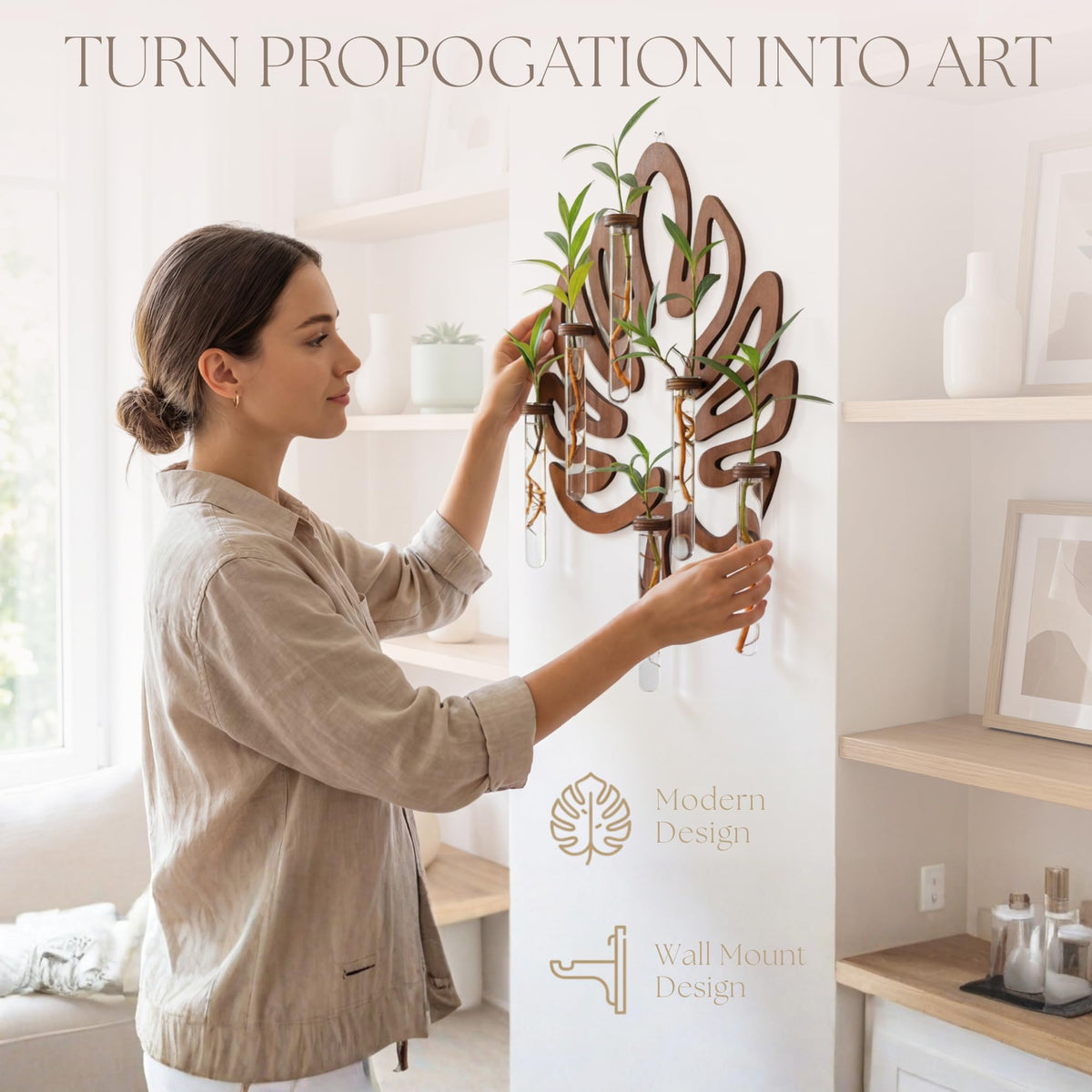 2Special strengthened glass vases showcase six cuttings with ample light exposure.
