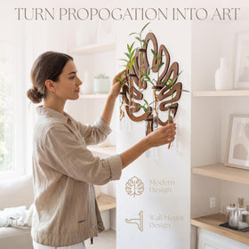 2Special strengthened glass vases showcase six cuttings with ample light exposure.