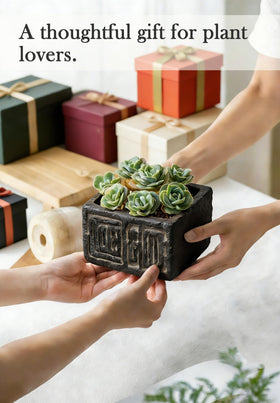 Txjyuyy candle-holder-ready planter adds ambience without clutter.