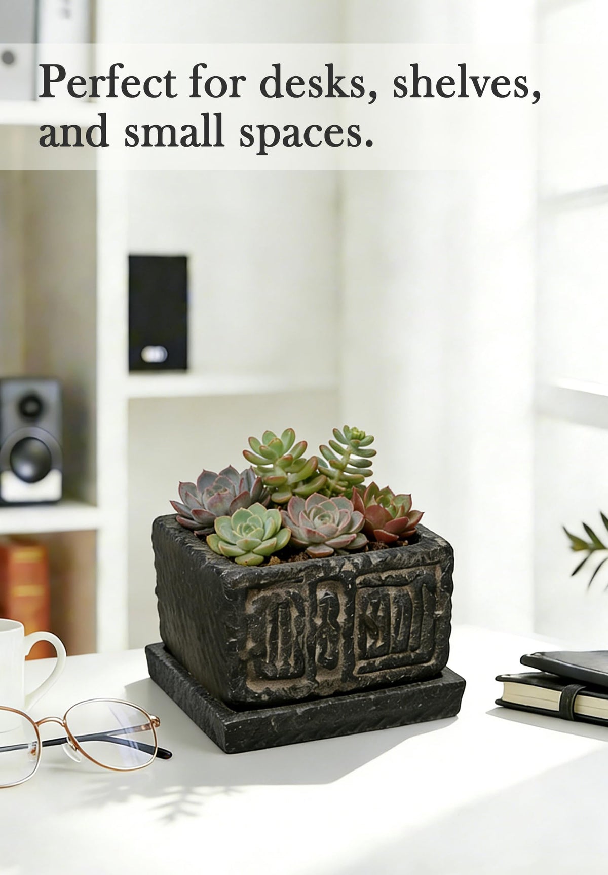 Txjyuyy shelf-friendly design blends with wood-toned interiors.