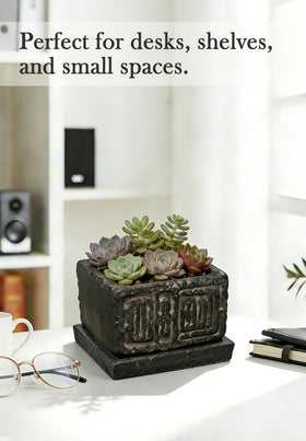 Txjyuyy shelf-friendly design blends with wood-toned interiors.