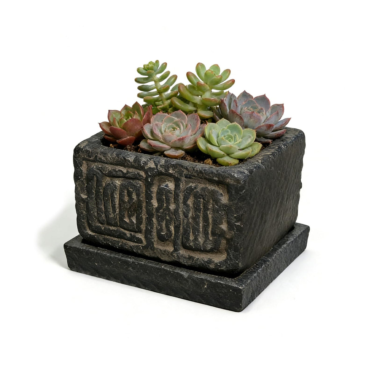 Txjyuyy small succulent pot on a stone square for compact indoor displays.