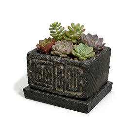 Txjyuyy small succulent pot on a stone square for compact indoor displays.