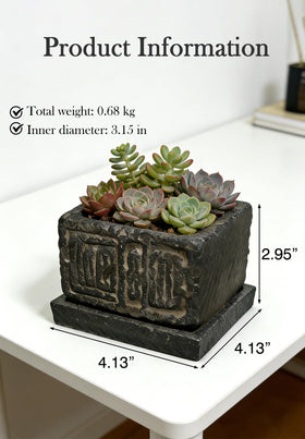 Txjyuyy stone-square planter on desk showcases minimal, durable indoor greenery.