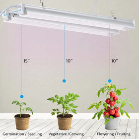 TYAGMAM Grow Light 2ft setup under a shelf in a compact grow tent