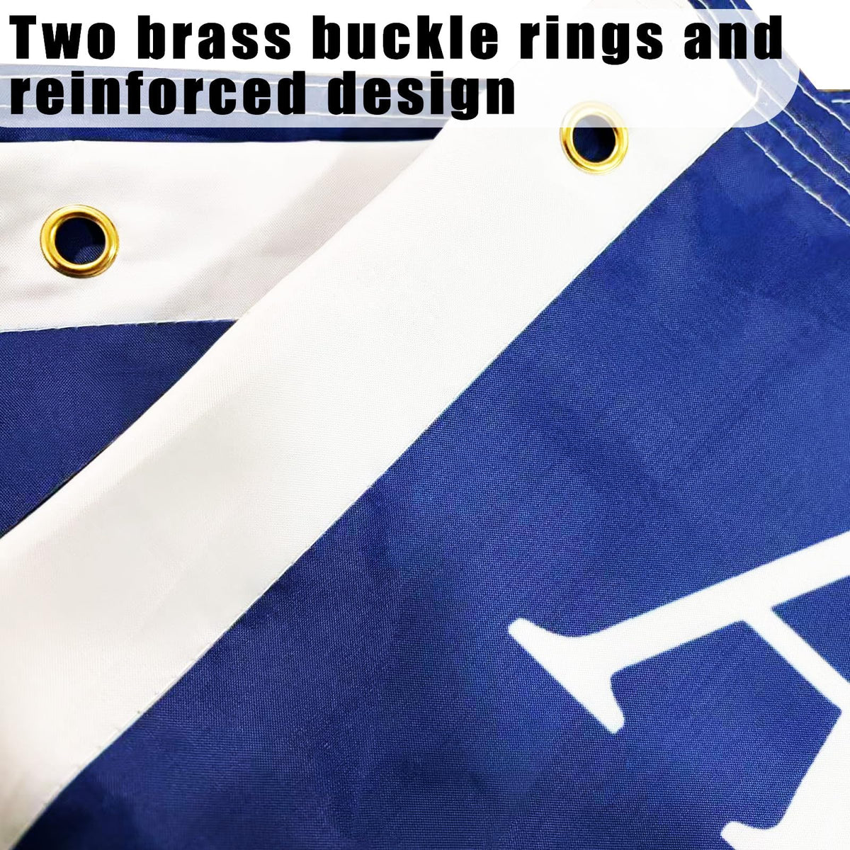 Tyalfrich heavy-duty flag with brass grommets on standard pole.
