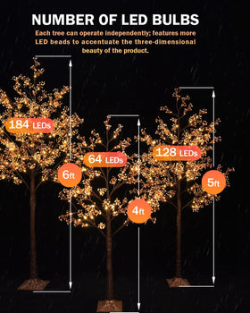 TYBEEU enhances wedding ambiance with soft focal lighting and romance.