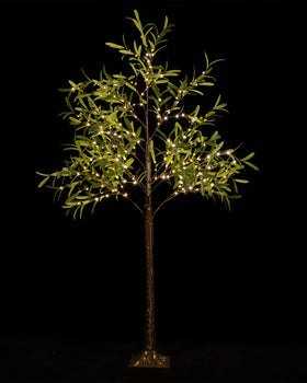 TYBEEU olive tree quick setup for easy styling.