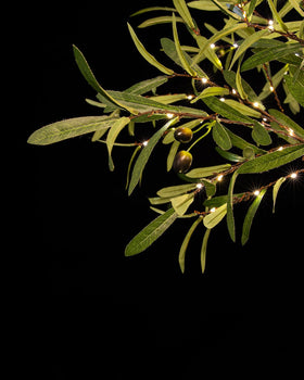TYBEEU olive tree close-up of 300 LEDs for a cozy, inviting glow.
