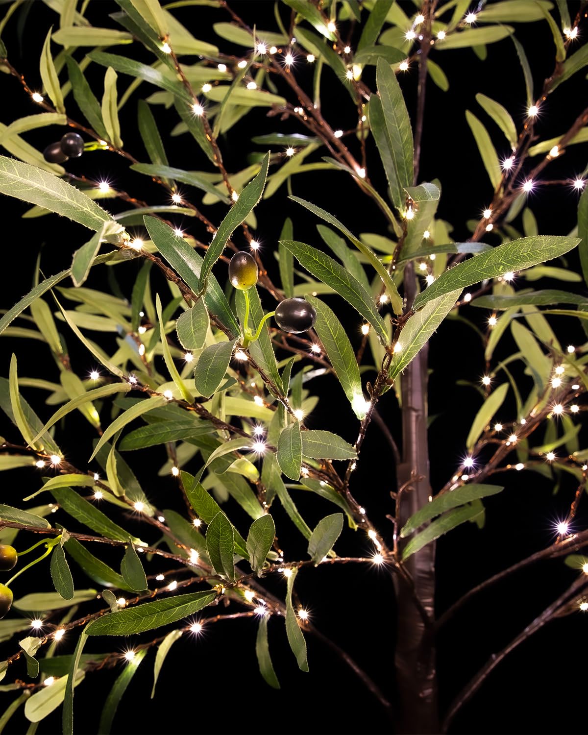 TYBEEU olive tree warranty and service for reliable peace of mind.