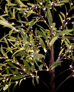 TYBEEU olive tree warranty and service for reliable peace of mind.