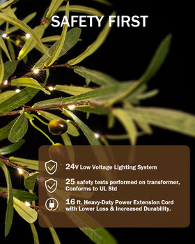 TYBEEU olive tree waterproof power interface supports safe outdoor use.