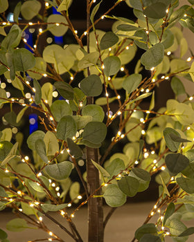 TYBEEU wedding and party lights create elegant focal points.