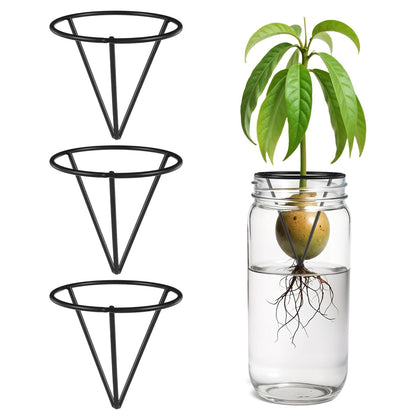 Tyqour avocado tree growing kit triangle bracket for easy home propagation and stylish decor.